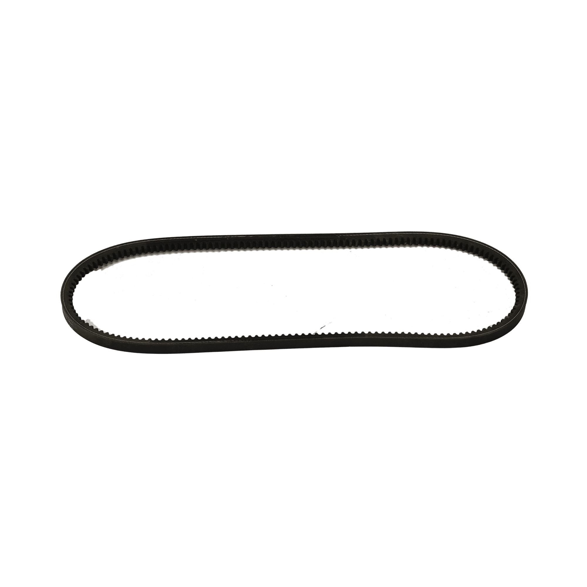 Magni Engine Belt 24230